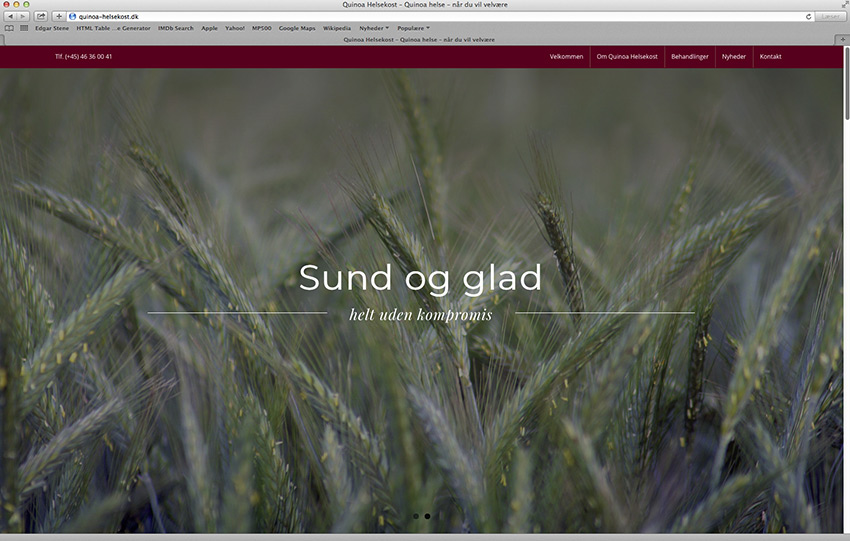 Quinoa Helsekost website